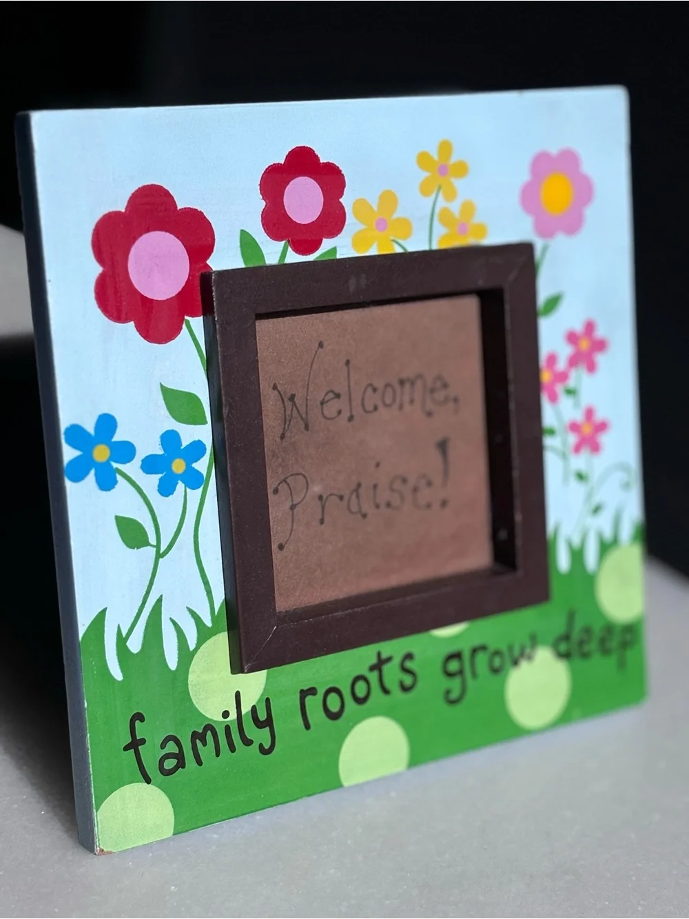 Hand Painted Picture Frame